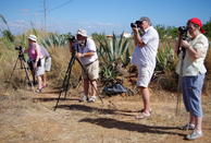 Los Alcazares Digital Camera Club (LADCC)