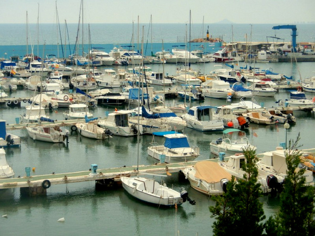 Sporting Marina, Torre de la Horadada