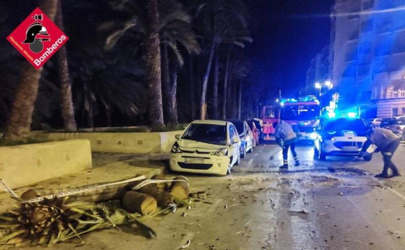 Strong winds down trees, awnings and walls wreaking havoc in Alicante province