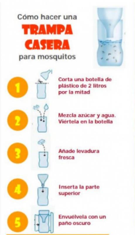 How to make your own home-made mosquito trap