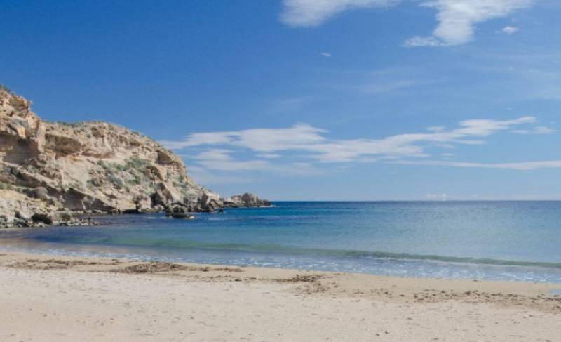 January 11 Explore the Cuatro Calas coastline of Águilas on a free guided walk