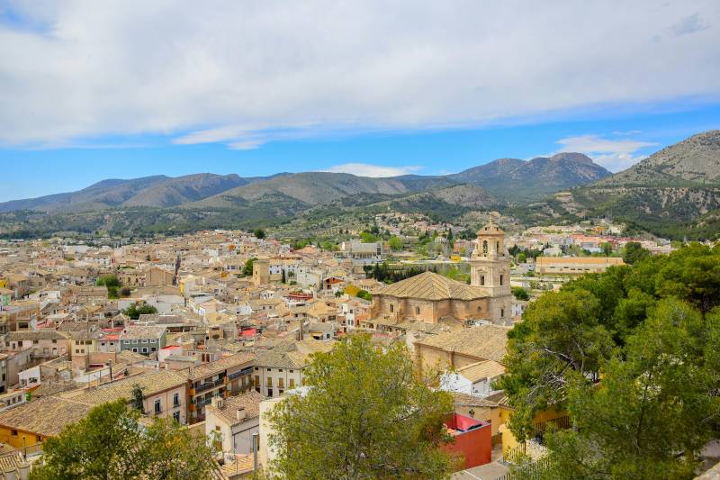 Murcia population rises again as immigration drives growth across the Region