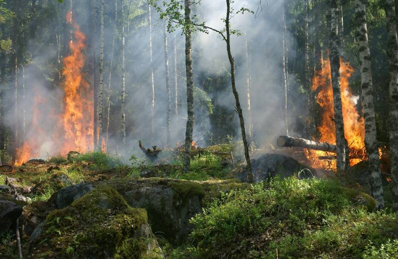 Ecofire: the Spanish invention that could change how we fight wildfires