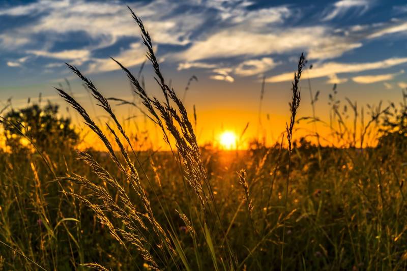 Nestlé backs Spanish farmers with nearly €12 million