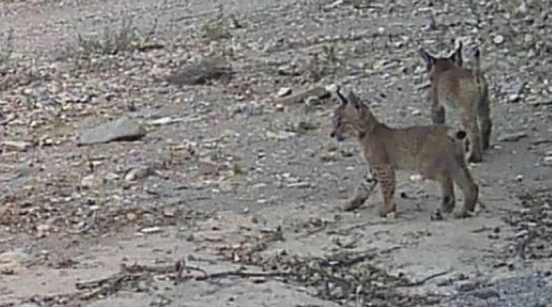 Spanish News Today Editors Roundup Weekly Bulletin Oct 17