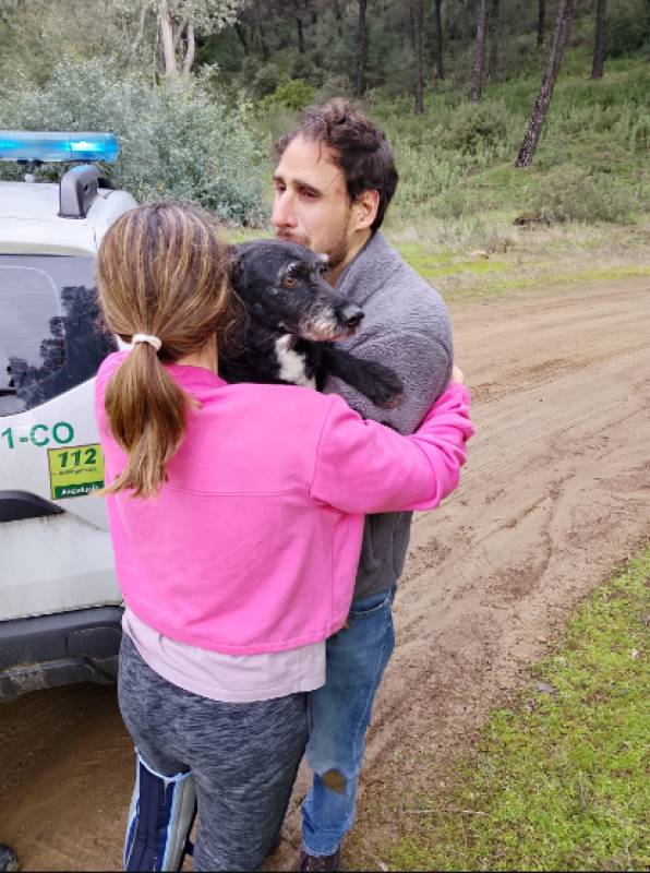 Heart-warming moment after Córdoba train tragedy as missing dog is found