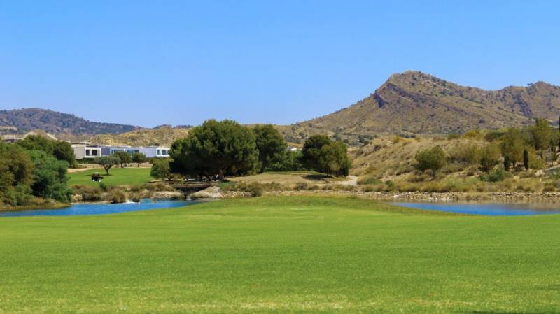 Living well in Murcia: Oasis and Las Vistas reflect Altaona's wellbeing-focused residential model