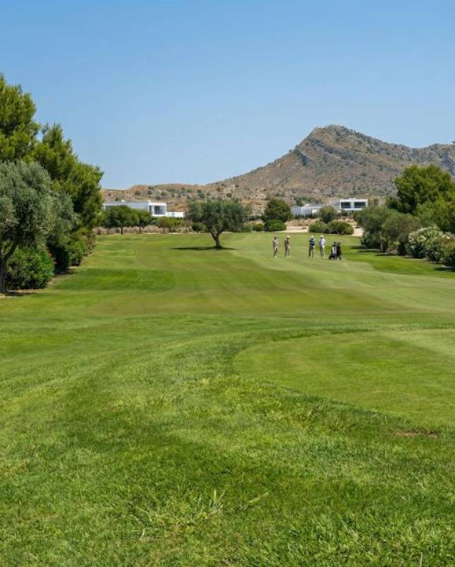 Living better starts here: Altaona, Europe's first residential longevity concept in Murcia 