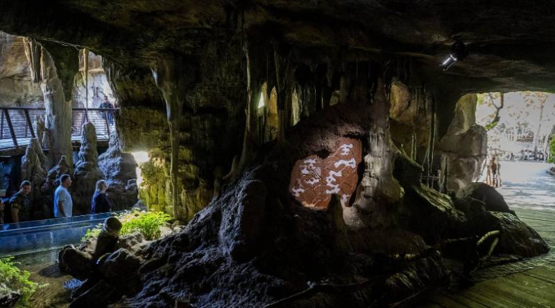 Not for the squeamish: Valencia park reveals 'surgeon' ants that amputate body parts to survive