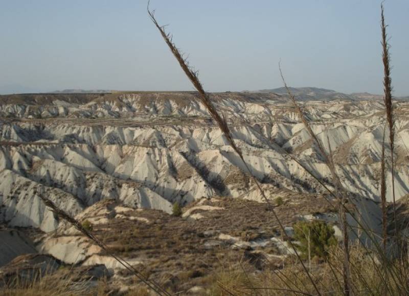 April 25 Free guided tour in Spanish of Gebas in the mountains of Sierra Espuña