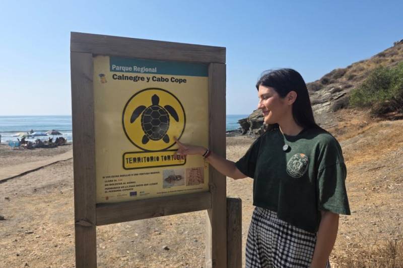 Lorca beaches protect loggerhead turtle nesting sites