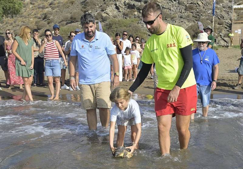 Two rescued loggerhead turtles return to the sea in the Region of Murcia