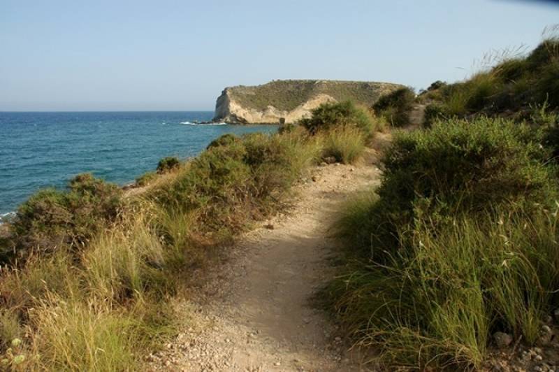 November 14 Free guided hike along the Cuatro Calas coastline in Aguilas 