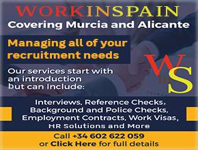 Workinspain 290x290 Alicante News
